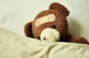 Photo d'un ourson blessé avec un pancement